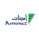 Arabian Aminat Company