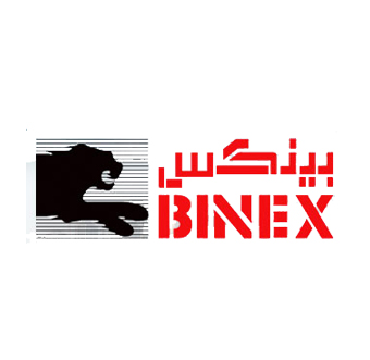 BINEX